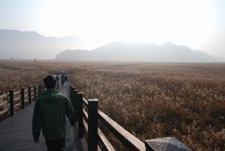 2010.11 179.jpg