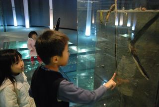 2010.11 407.jpg