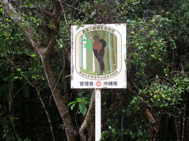 やんばる