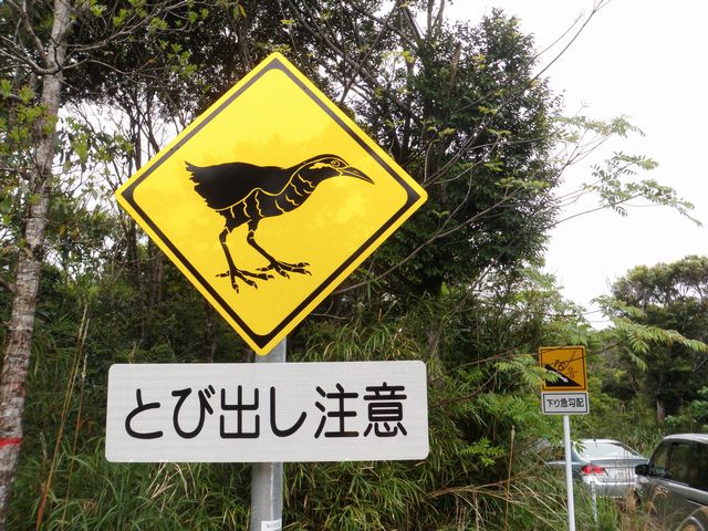 やんばる