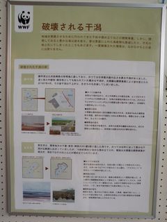 2011.1 090.jpg