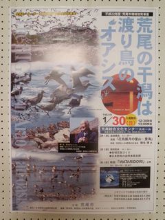 2011.1 091.jpg