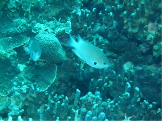 2011.2 389.jpg