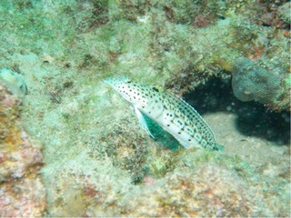 2011.2 399.jpg