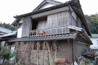 2011.3 101.jpg