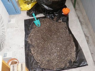 2011.4 425.jpg