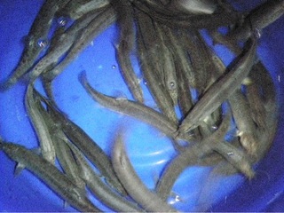 2012.3 224.jpg
