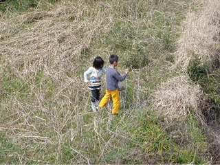 2012.3 236.jpg