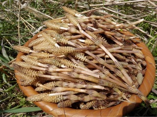 2012.3 243.jpg