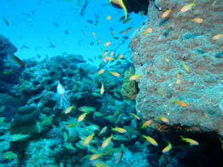 2012.4 1030.jpg