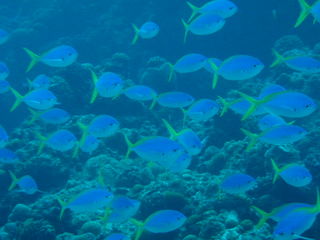 2012.4 1046.jpg