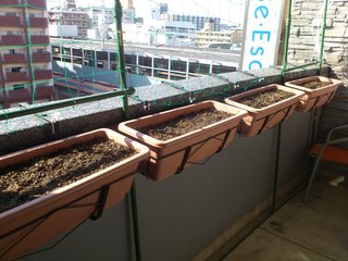 20130517Ai܂Hj.JPG
