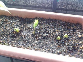20130621A[甭.JPG