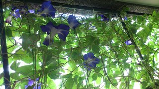 20130912A.JPG