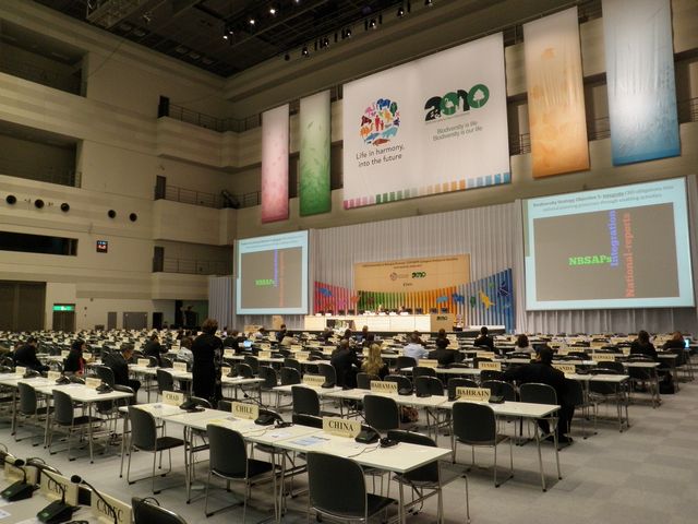 COP10 057.jpg